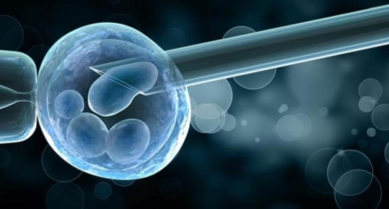 Future of Family Health: The Significance of Preimplantation Genetic Testing