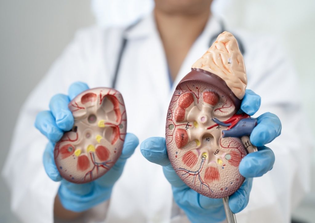 kidney care careers